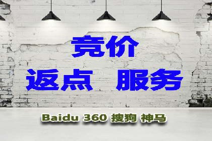 竞价推广实战：案例分析行业领军企业的成功之道