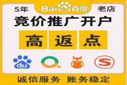 顶尖SEM竞价代运营公司案例分析